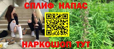Альфа ПВП Будённовск