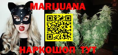 Альфа ПВП Будённовск