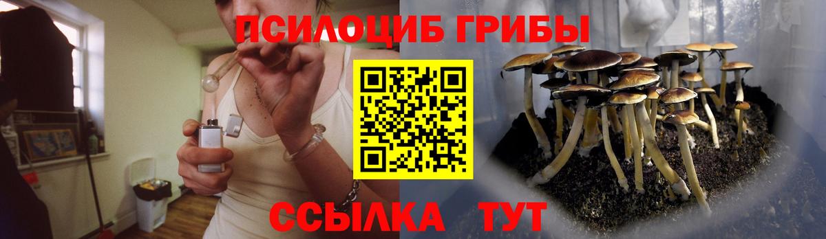 Псилоцибиновые грибы GOLDEN TEACHER  Вход с VPN  Менделеевск 